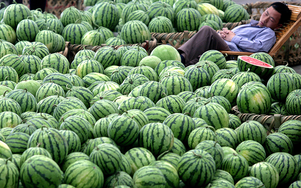 οι-φυτικές-ίνες-είναι-υπερτροφή-με-ποι-2293597