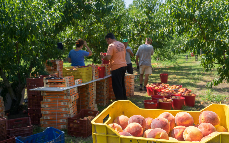 η-ψυχή-μας-και-τα-προϊόντα-μας-2296667