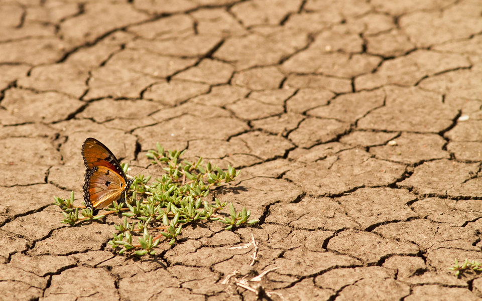 είναι-στραβό-το-κλίμα-2294726