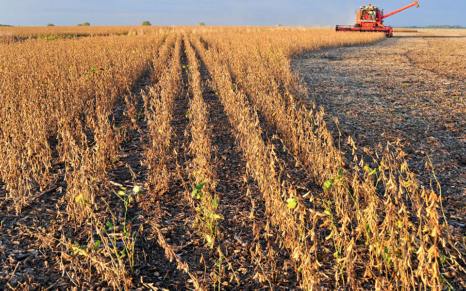 πιο-υγιείς-όσοι-τρώνε-πολλές-φυτικές-ί-2293361