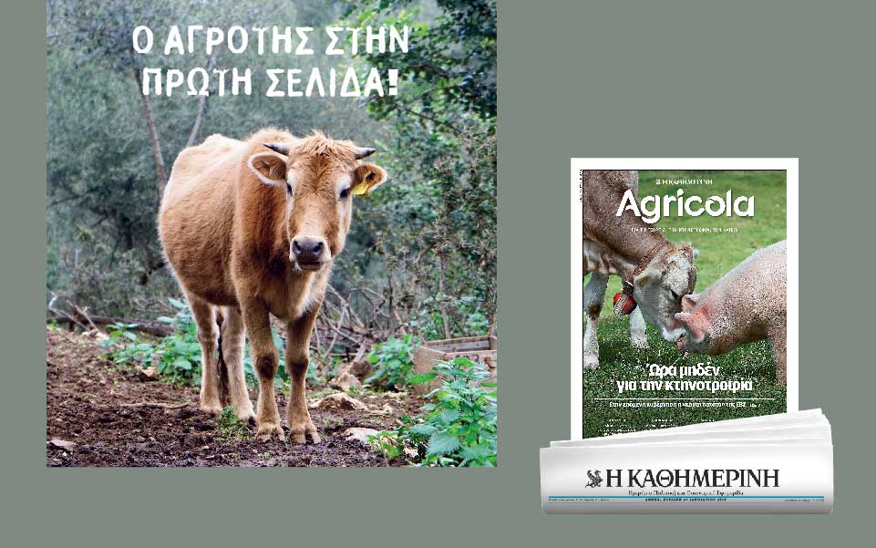 ο-αγρότης-στην-πρώτη-σελίδα-2296145