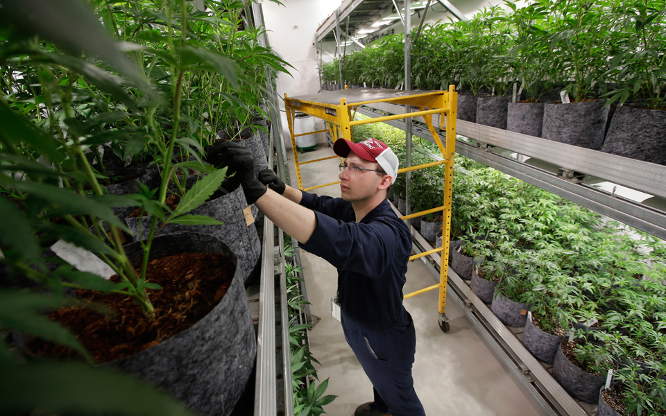 μεγάλο-ενδιαφέρον-για-φαρμακευτική-κ-2293745