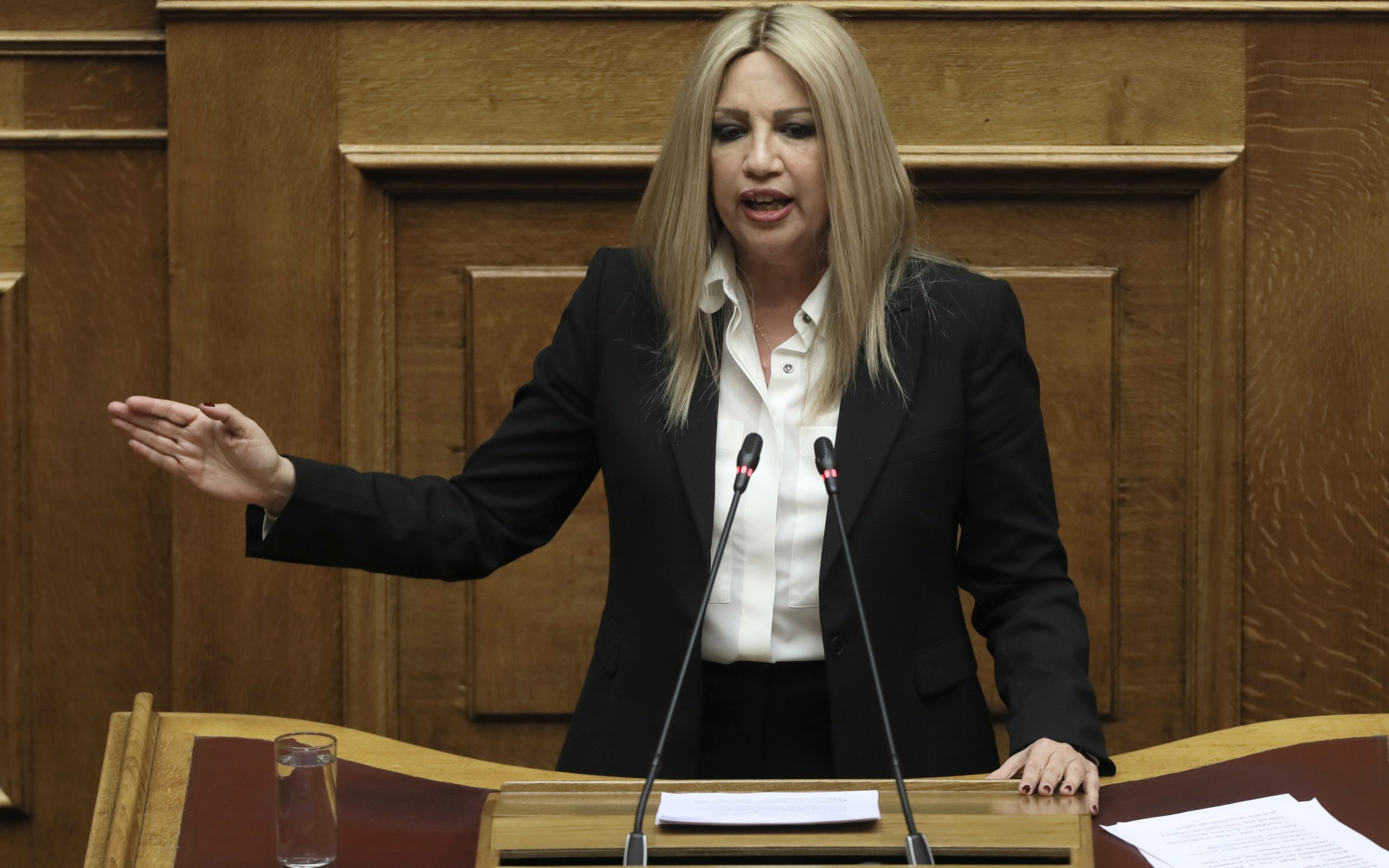 γεννηματά-για-θεοχαρόπουλο-η-στάση-το-2295220