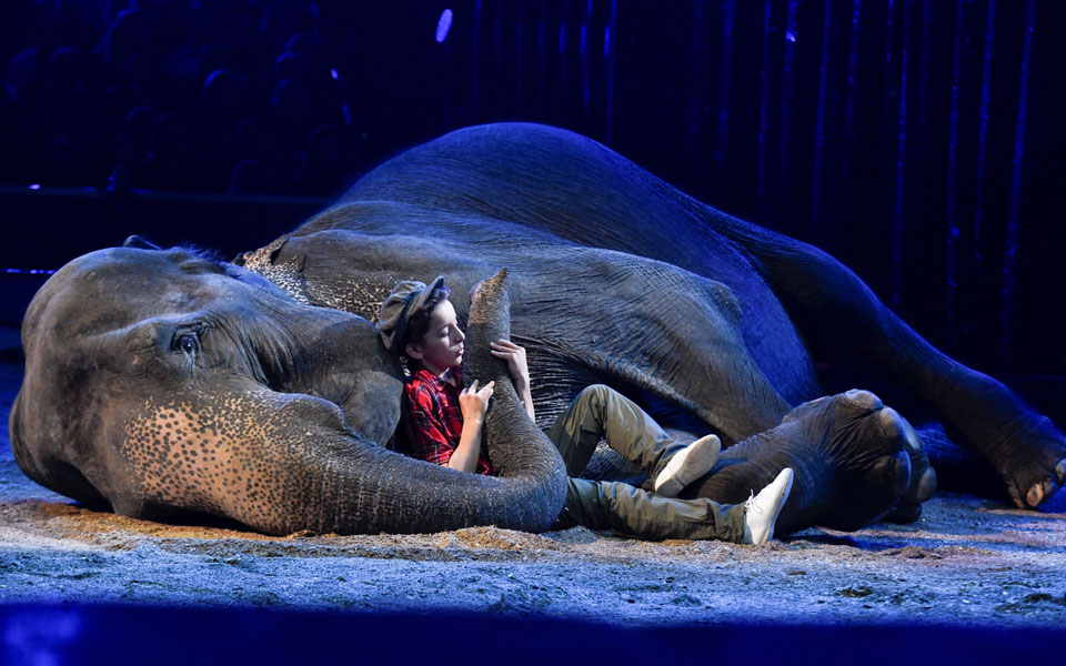 chapiteau-de-fontvieille-μονακό-2296485