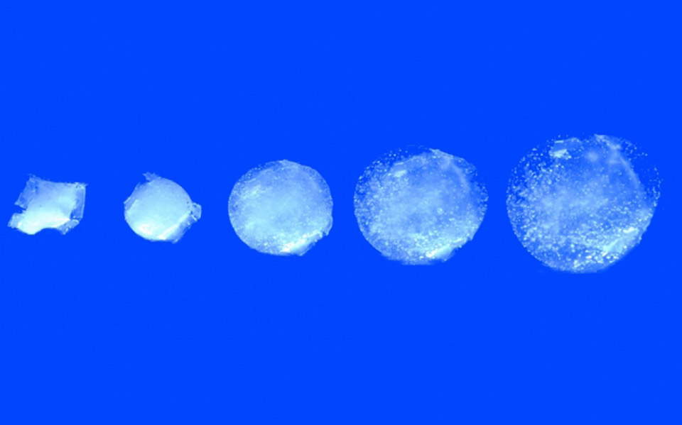 eρευνητές-του-μιτ-δημιούργησαν-το-πρώτ-2297240