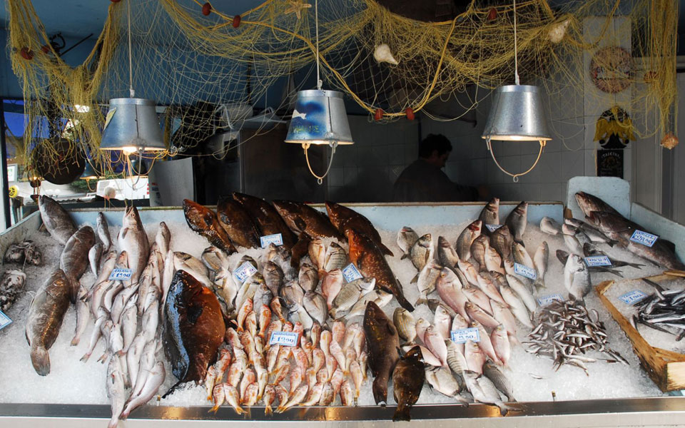 tα-ψάρια-του-μήνα-2296872