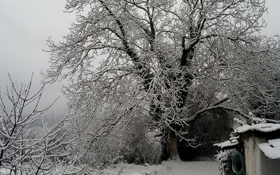 συνεχίζεται-η-κακοκαιρία-αποχωρεί-ο-2291834