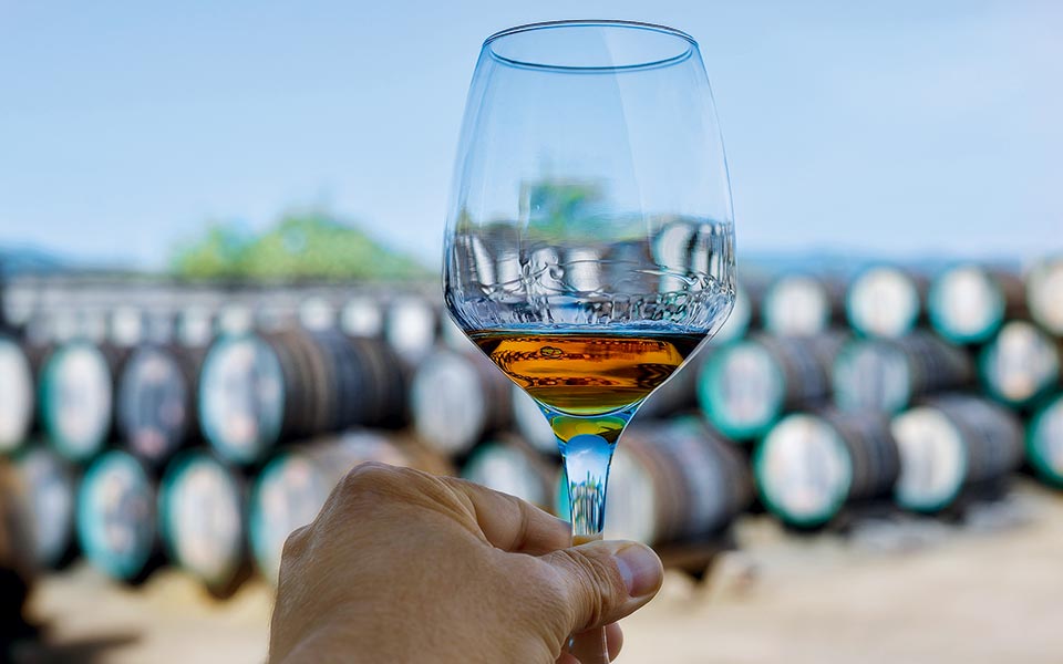 η-μαδέρα-της-μαδέρα-2295493