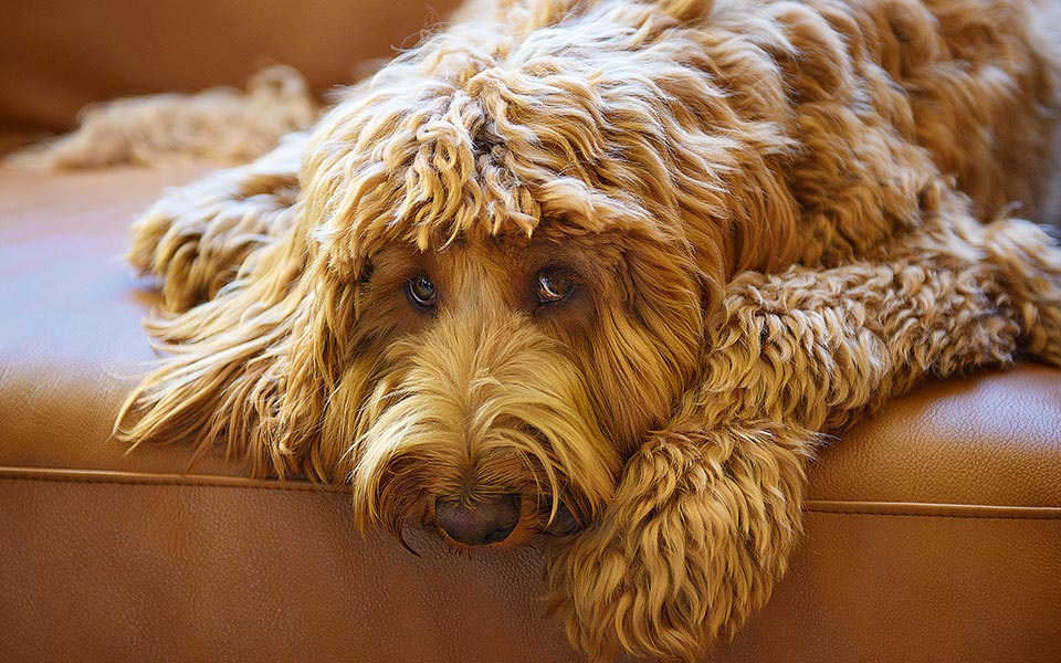 ου-μαδήσεις-2293931