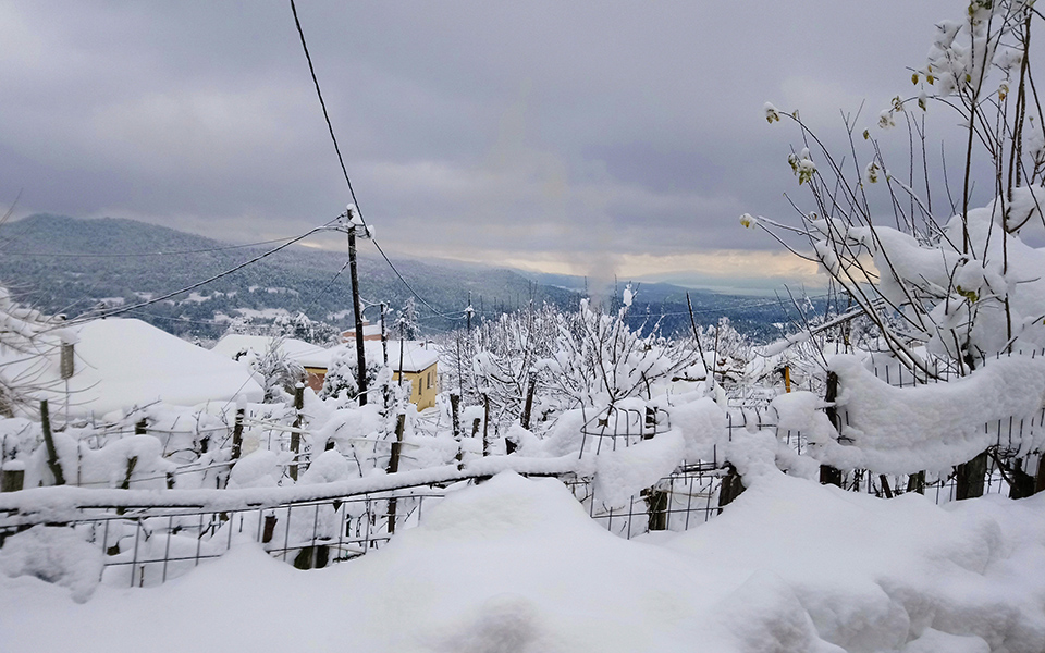 θεσσαλονίκη-τα-σχολεία-που-θα-είναι-κλ-2292689