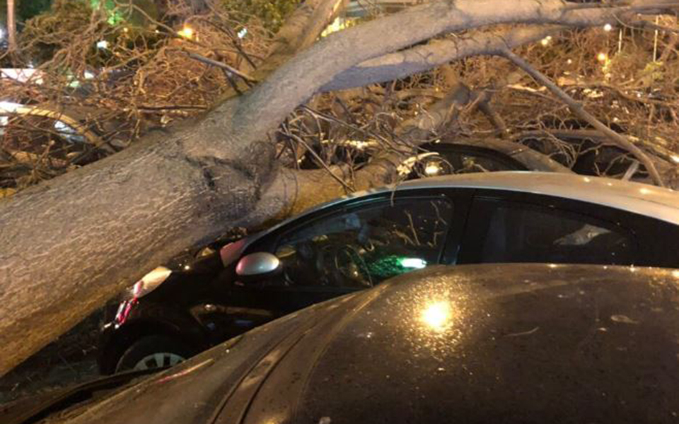 δέντρο-καταπλάκωσε-12-οχήματα-στη-νέα-σμ-2301775