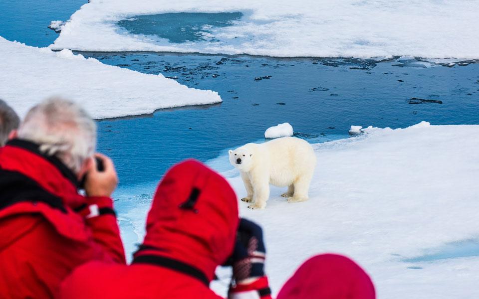 διακοπές-με-την-άγρια-ζωή-2299546