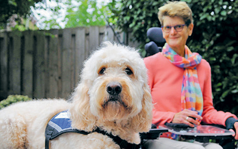 γιατί-ο-άνθρωπος-πρέπει-να-κοιτάζει-τα-2302613