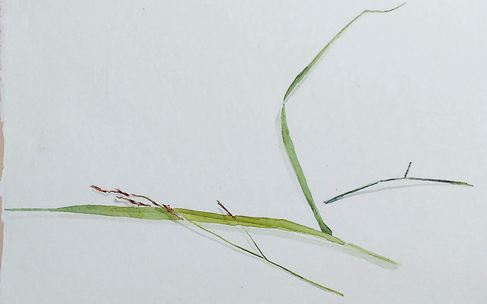 παναγιώτης-κουλουράς-ένας-λεπταίσθη-2300258