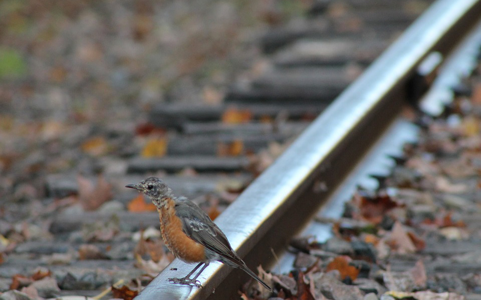 νέα-μελέτη-οι-θάνατοι-από-αυτοκτονία-π-2298600