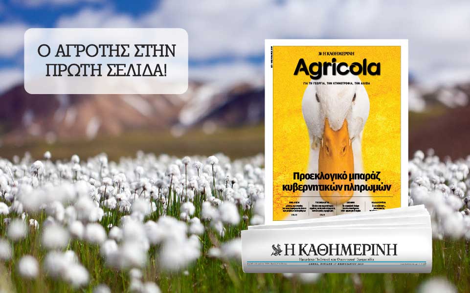 στο-agricola-που-κυκλοφορεί-2299320