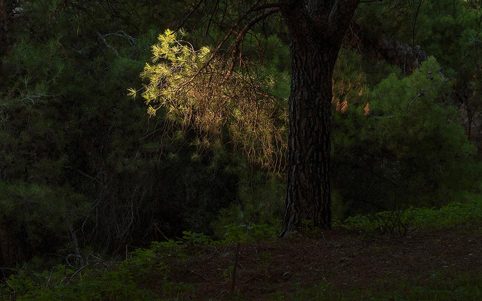 την-πρώτη-της-ατομική-έκθεση-φωτογραφ-2301154