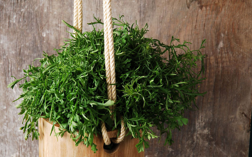 κάρδαμο-γεμάτο-βιταμίνες-2299346