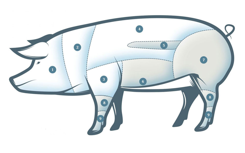 τα-μυστικά-κάθε-κομματιού-του-χοιρινο-2300618