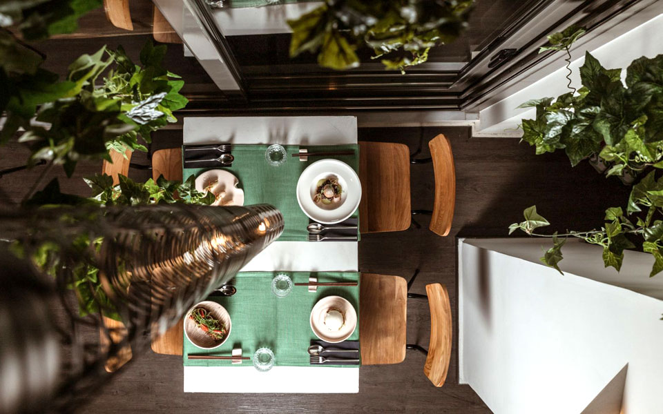 mr-pug-athens-μεγάλες-προσδοκίες-2302046