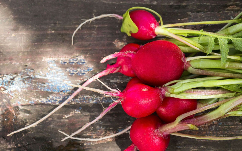 ραπανάκια-για-την-όρεξη-2299344