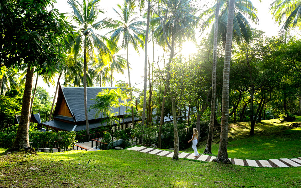 αναζητώντας-την-ευεξία-2301906