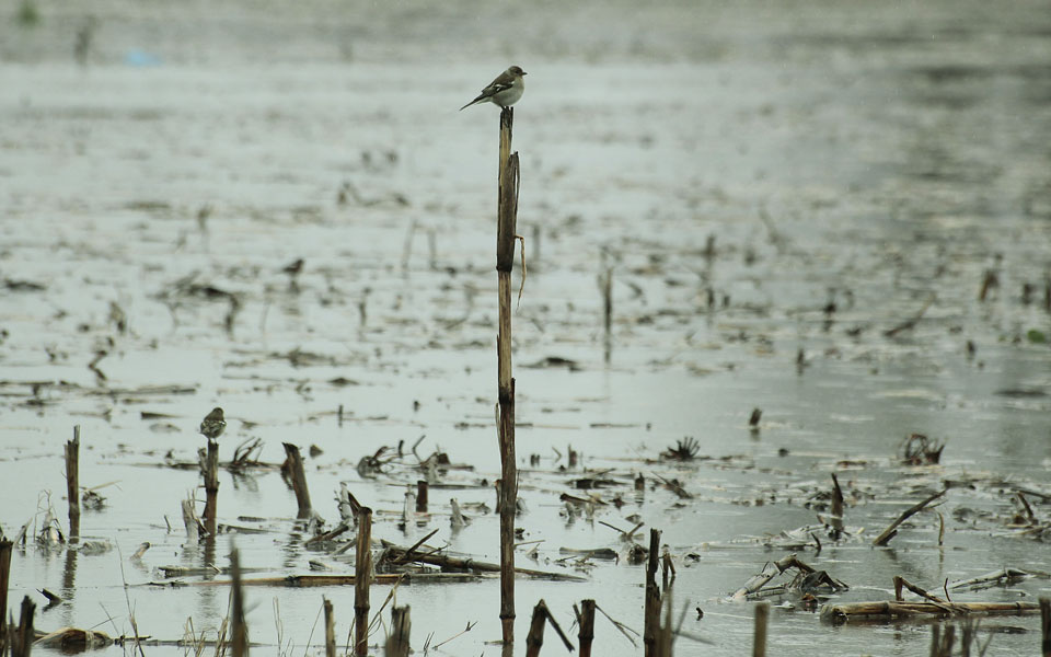 κρήτη-αποκλεισμένο-από-χθες-το-μοναστ-2301914
