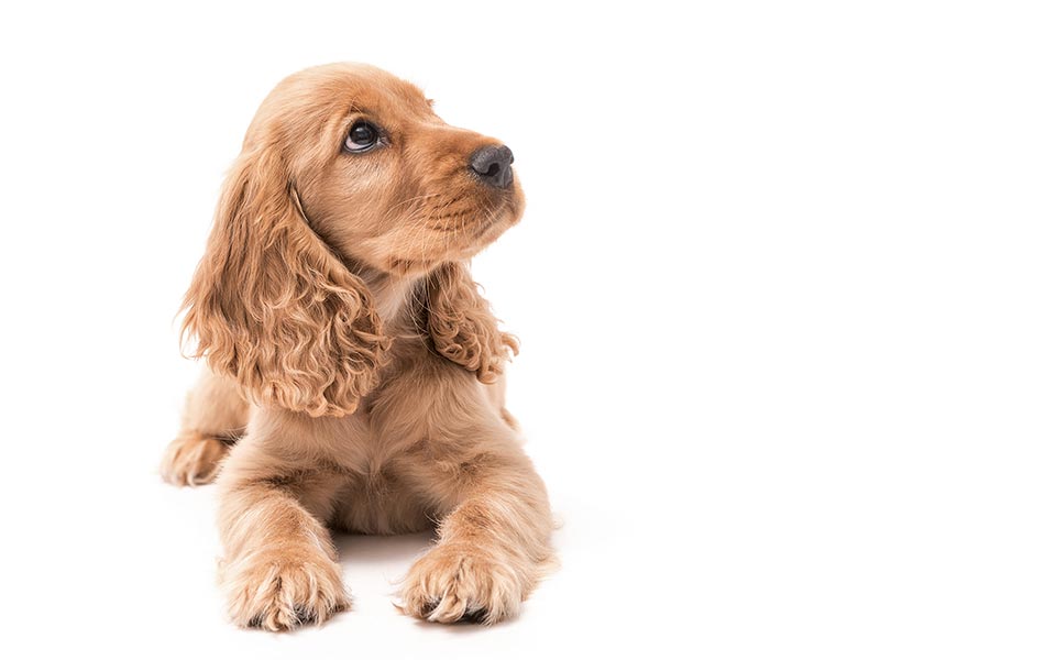 χορεύετε-2298952