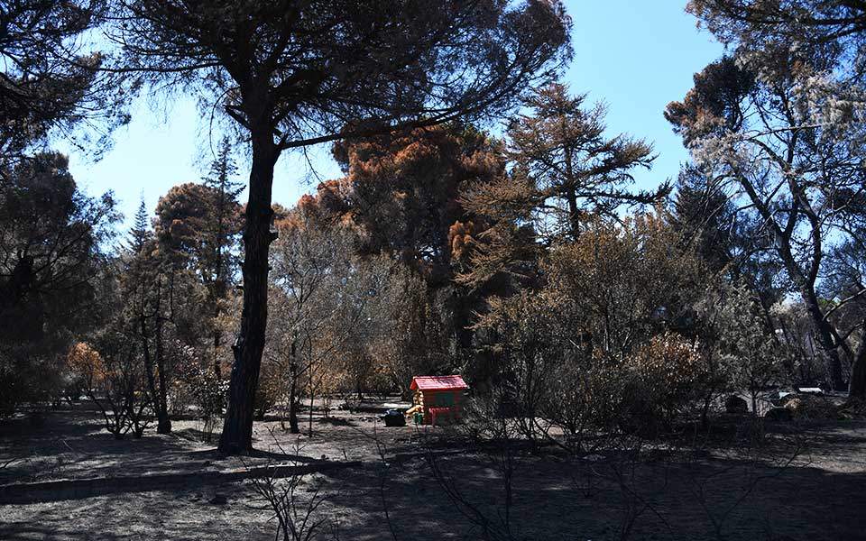 μάτι-αποποίηση-ευθυνών-υπεκφυγές-δικ-2303544