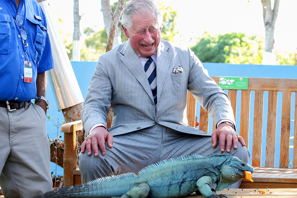 φωτογραφήματα-2307668