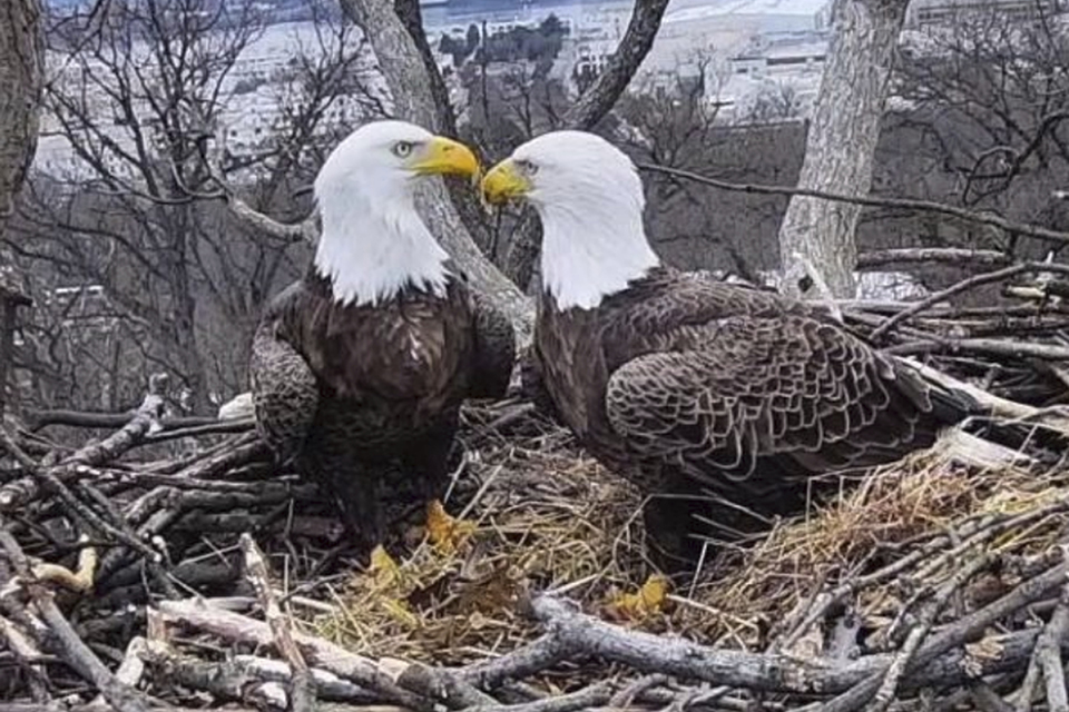 φωτογραφήματα-2305516