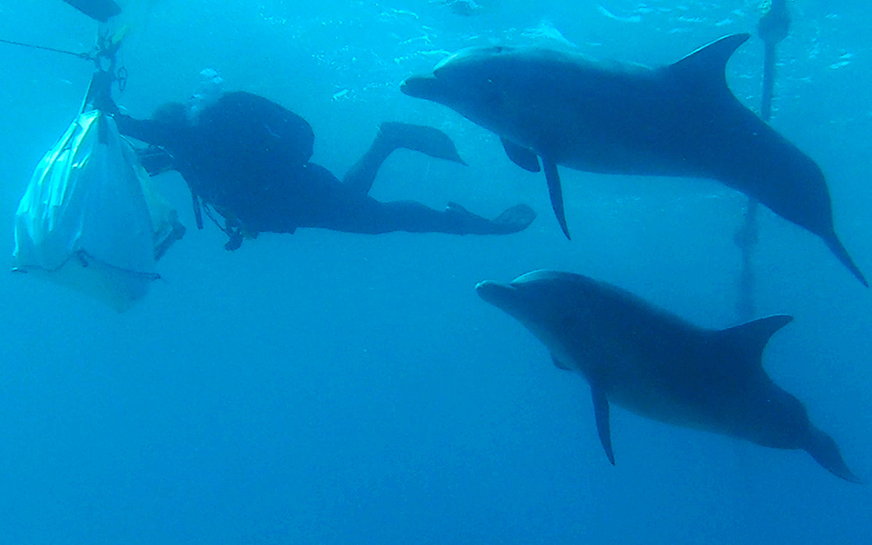 σε-κλειστή-παραλία-δημιουργήθηκε-κορ-2304794