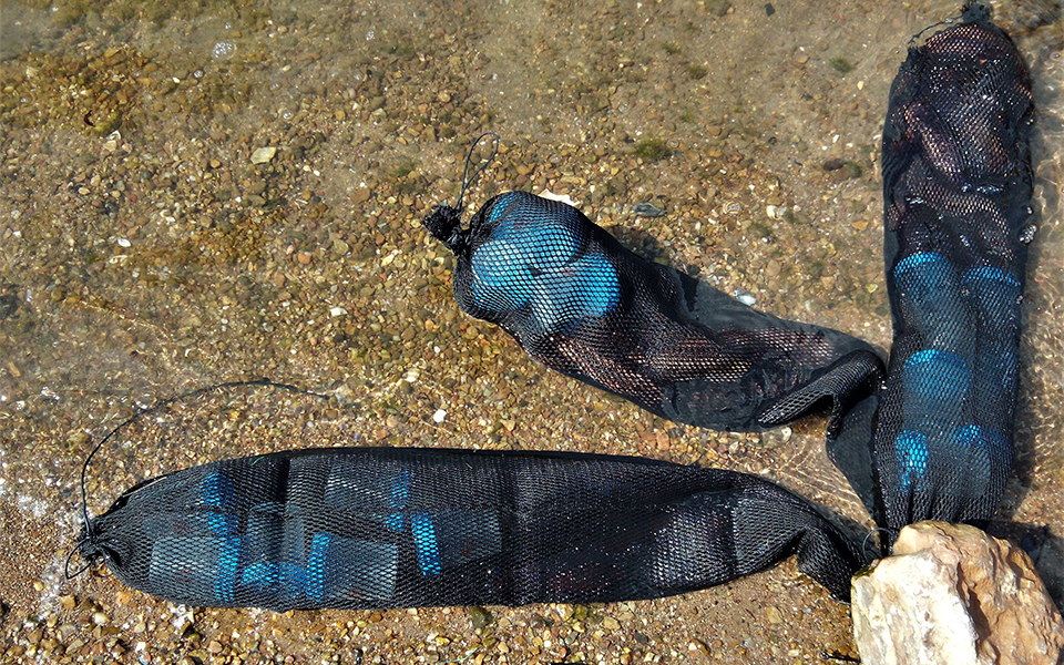 πρωτοπόρο-πείραμα-στη-λέσβο-για-καθαρ-2305645