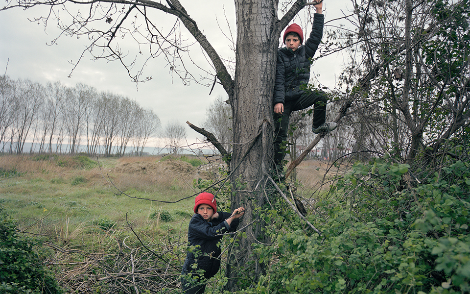 σε-αναζήτηση-μιας-νέας-ζωής-2307019