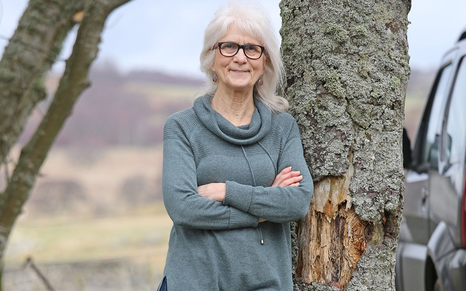 χωρίς-πόνο-χωρίς-άγχος-χωρίς-φόβο-2307223