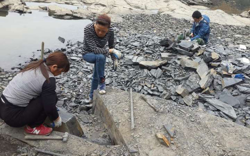 ανακαλύφθηκαν-στην-κίνα-απολιθώματα-2306152