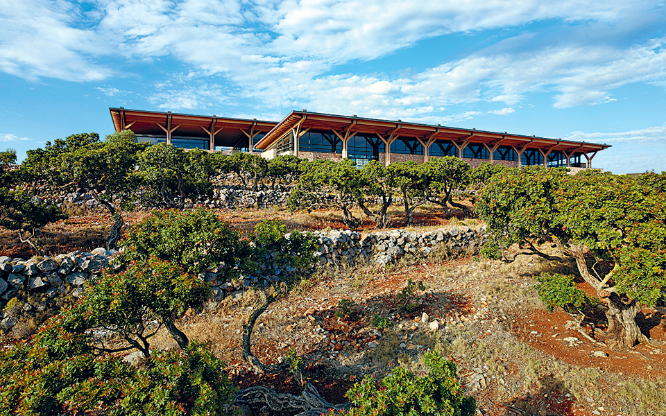 δέκα-χρόνια-βραβεία-δομές-απονομή-κ-2303315