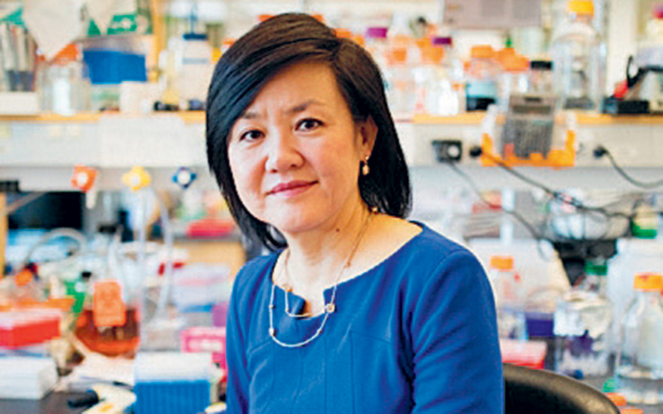 ηχος-και-φως-κατά-του-αλτσχάιμερ-2305328