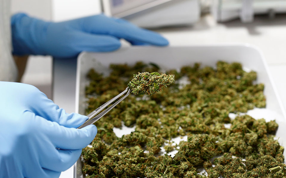 αυξημένος-ο-κίνδυνος-ψύχωσης-λόγω-της-2305823