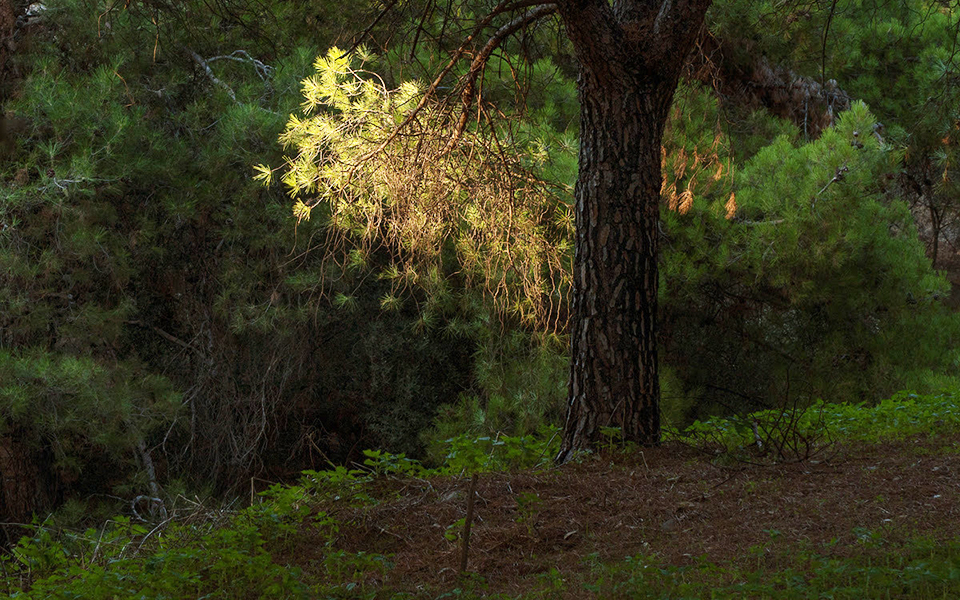 η-πολιτιστική-ατζέντα-της-τρίτης-2303264
