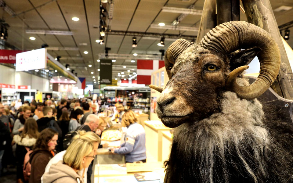 στη-βαβέλ-των-τροφίμων-2304764