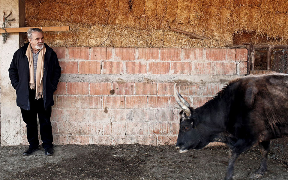 ο-νώε-των-τρικάλων-2303126