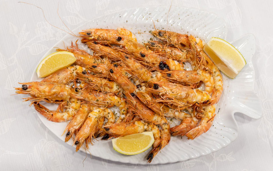 η-μυρταριά-του-πατέντα-ψαροφαγία-στο-φ-2303120