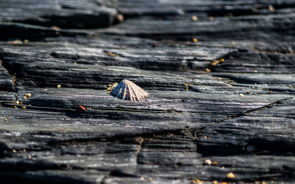επιστήμονες-φωτίζουν-την-κλιματικ-2305207