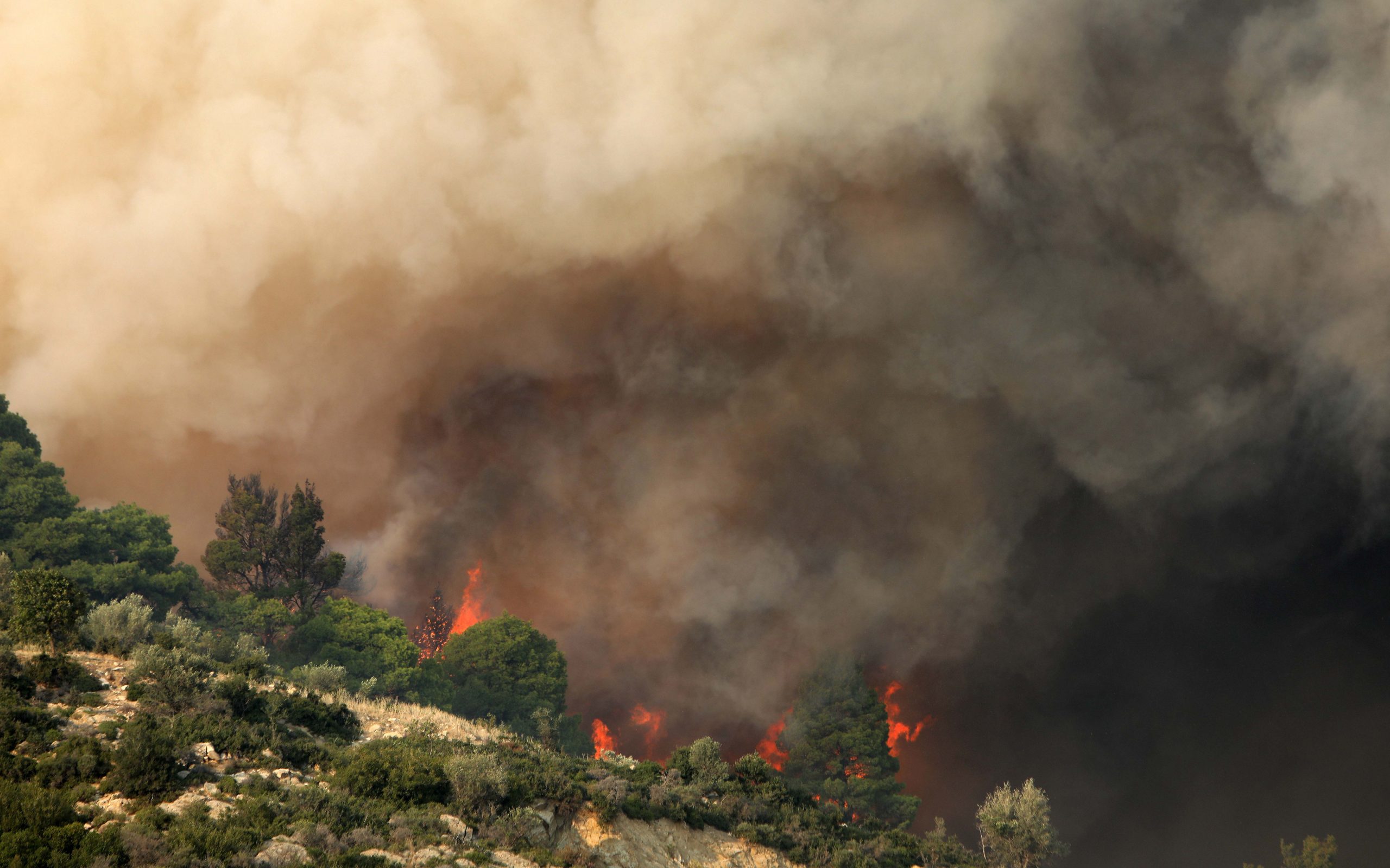 θεσσαλονίκη-νεκρός-πυροσβέστης-στη-δ-2302786