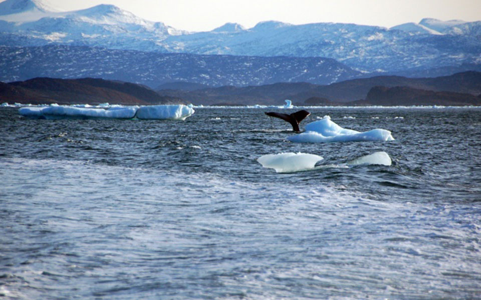 οι-ωκεανοί-γνώρισαν-πρωτοφανή-επίπεδ-2307147