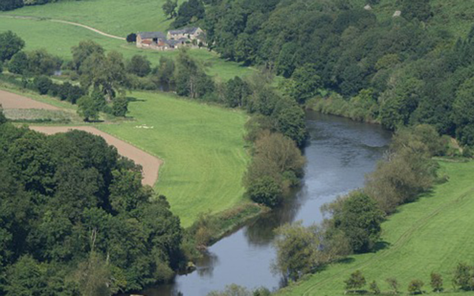 το-δάσος-που-ενέπνευσε-τον-τόλκιν-στον-2306342