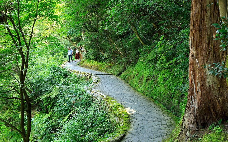 αφιέρωμα-ευεξία-κάνει-καλό-2312853