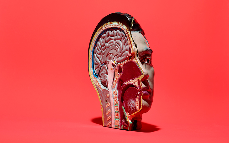 η-ορμόνη-κλωθώ-διεγείρει-τον-εγκέφαλο-2308986