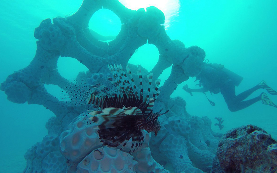 ανάκαμψη-με-τεχνητά-κοράλλια-2309210